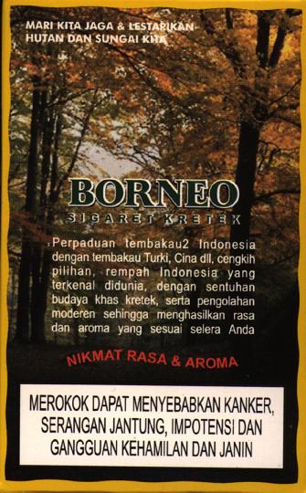 B_Borneo_b_1.jpg