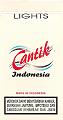 C_Cantik_indonesia_b_1
