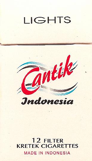C_Cantik_indonesia_f_1.jpg