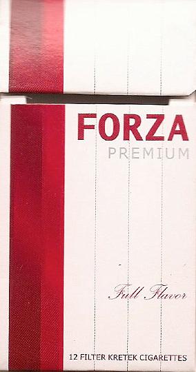 F_Forza_f_1.jpg